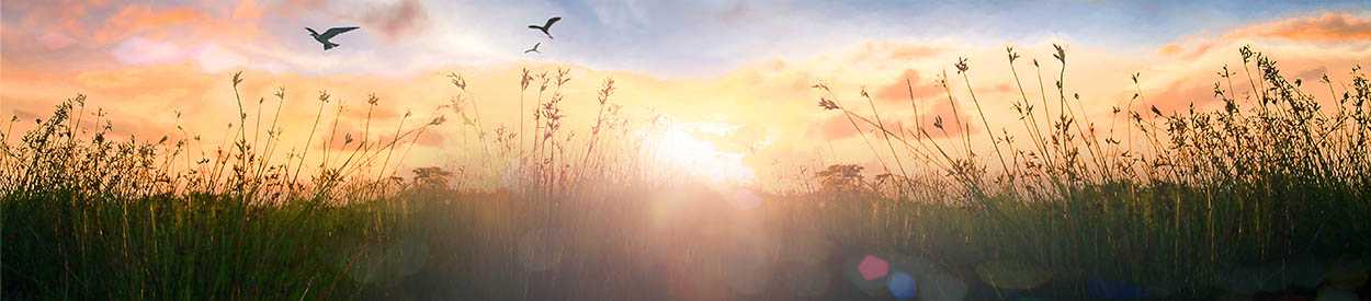 #nivo1 HOMESCHOOL CHRISTIAN COMMUNITY OF EVERETT